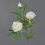 Rama de peonía artificial MANJA, blanco, 70cm, Ø8-10cm