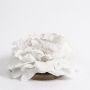Paeonia sintética MEGAN, flotante, crema, Ø15cm