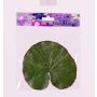 Hoja de nenúfar artificial AJAY, flotante, verde, Ø13cm