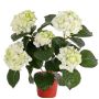 Hortensia sintética TEMARI, crema-verde, 40cm, Ø10-12cm