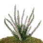 Erica artificial IMKE con vara de fijación, rosa, 25cm, Ø1cm