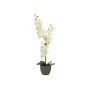 Orquídea Phalaenopsis artificial KATALIN, maceta decorativa, crema, 80cm