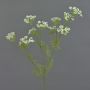 Rama de eneldo artificial WINCENT, blanco-verde, 80cm