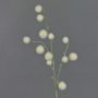 Ajo ornamental sintético EMRAH, crema, 80cm, Ø2-4cm