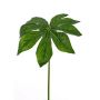 Aralia artificial IMANA, verde, 80cm