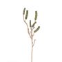 Rama de árbol del cepillo sintética HEMES con frutas, verde, 60cm