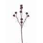 Rama de eucalipto artificial BASILIUS con frutas, marrón, 60cm