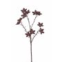 Rama de anís estrella de plástico DELANO con frutas, marrón, 60cm