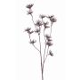 Flor de zanahoria silvestre artificial DORIAN, marrón, 65cm, Ø4cm