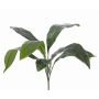 Palma Aspidistra artificial VASCO en vara de fijación, 55cm