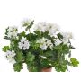 Geranio artificial BERENIKE con vara de fijación, zona protegida, blanco, 40cm, Ø5-8cm