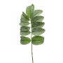 Melianthus artificial SATORU, verde, 65cm