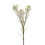 Hoya artificial MEDEA, crema, 80cm