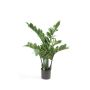 Planta artificial de zamioculcas SIMANO, 70cm