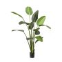 Planta artificial de strelitzia PAVLOVA, verde, 190cm