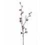 Rama de algodón artificial EYCK con flores, verde, 95cm