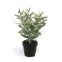 Olivo artificial ALBERTO con frutos, 35cm