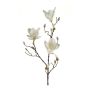 Magnolia artificial MALVAO, crema, 90cm