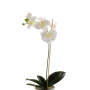 Orquídea phalaenopsis artificial ISIS, en vara de ajuste, blanco, 60cm