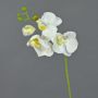 Rama de orquídeas phalaenopsis artificial MINA, blanco, 55cm