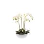Orquídea phalaenopsis artificial MINA en maceta cerámica, blanco, 60cm