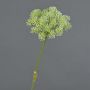 Heracleum artificial EVERALDO, blanco, 80cm