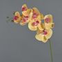 Rama de orquídeas phalaenopsis artificial NEITH, naranja-fucsia, 85cm