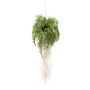 Cesta colgante de helecho de boston artificial NILO, en tierra, raíces, 70cm, Ø35cm