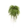 Cesta colgante de helecho de boston artificial NILO, en tierra, raíces, 75cm, Ø55cm