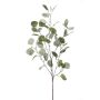 Rama de eucalipto artificial COLTON, verde-gris, 85cm