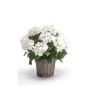 Hortensia artificial JONE en cesta, blanco, 45cm