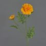 Tagete artificial ASTIE, naranja, 60cm, Ø5-9cm