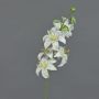 Lirio de tigre artificial ASHANTI, blanco, 65cm, Ø8cm