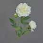 Flor textil de peonía ONYX, blanca, 70cm, Ø10-13cm