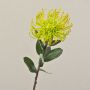 Protea artificial BAILY, amarillo, 50cm, Ø12cm