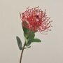 Protea artificial BAILY, rojo, 50cm, Ø12cm