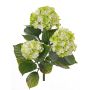 Hortensia artificial SAIRA, en vara de fijación, zonas resguardadas, verde-crema, 40cm, Ø11-13cm