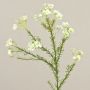 Flor de cera artificial AISHA, crema-blanco, 65cm