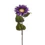 Girasol de terciopelo MAHEALANI, lila oscuro-dorado, 75 cm