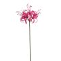 Amarilis artificial de jardín NANFAJI, rosa oscuro, 65 cm