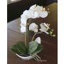 Orquídea Phalaenopsis decorativa ZARMINAH, en cuenco de cerámica, blanca, 35cm