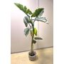 Colocasia artificial YORICK, verde, 180 cm