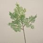 Rama decorativa de cedro BALTHILDE, verde, 40 cm