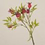 Rama decorativa de rosas silvestres VIVEKA con escaramujos, roja, 50 cm