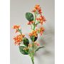 Rama de bola de nieve artificial LABIBA con capullos, naranja, 60 cm