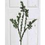Rama de abedul artificial THOMA con musgo, verde, 100cm