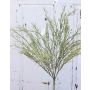 Carex artificial RUSTY con panículas, verde-gris, 45cm