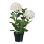 Flor decorativa Hortensia BINEFA, blanca, 60 cm