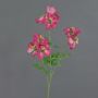 Planta artificial rama de pico de cigüeña ZEDENA, rosa crema, 70 cm, Ø 6 cm