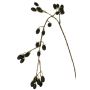 Rama decorativa de mora URUMA con frutos, negra, 100 cm
